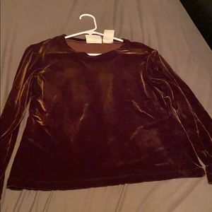 Christie and Jill petite medium velvet blouse